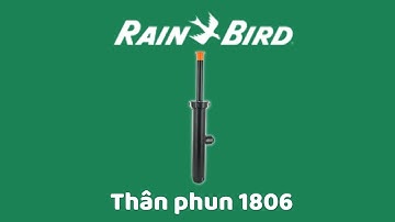 Thân phun 1806 Rainbird, pop up 15cm