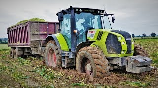 Extremalne koszenie kukurydzy 2017-Mega Wtopy ||3xClaas , 2x CaseIH ,Deutz-Fahr||