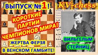 Вильгельм Стейниц ♔ Шахматные ловушки в дебюте ♕ Быстрый мат в шахматах Вильгельм Стейниц ♔ Шахматные ловушки в дебюте ♕ Быстрый мат в шахматах