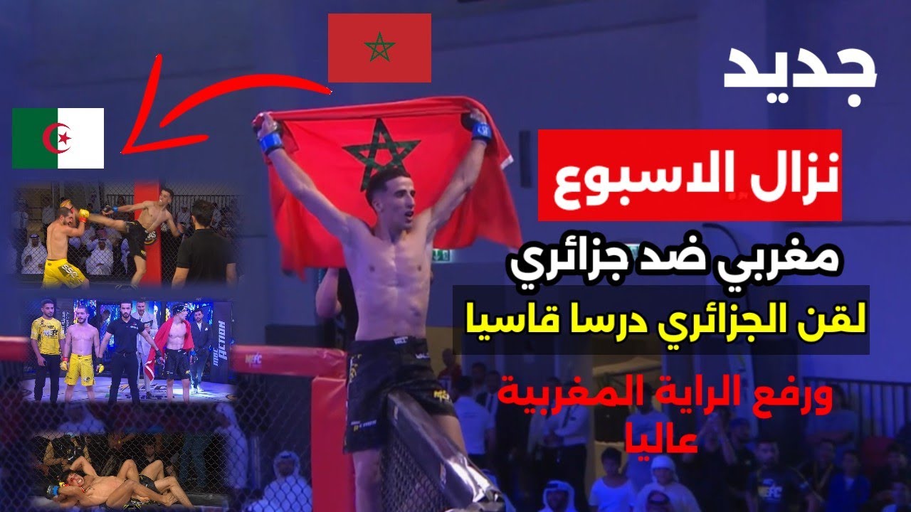 عاجل : مغربي🇲🇦 ضد جزائري🇩🇿 نزال خرافي انتهى قبل قليل بطريقة درامية   #MMA #ufc ملوك الحلبة 💯
