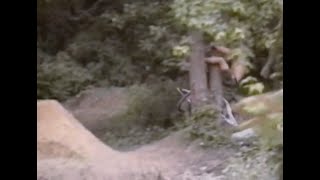 Biking Accident Of Jay Lonergan