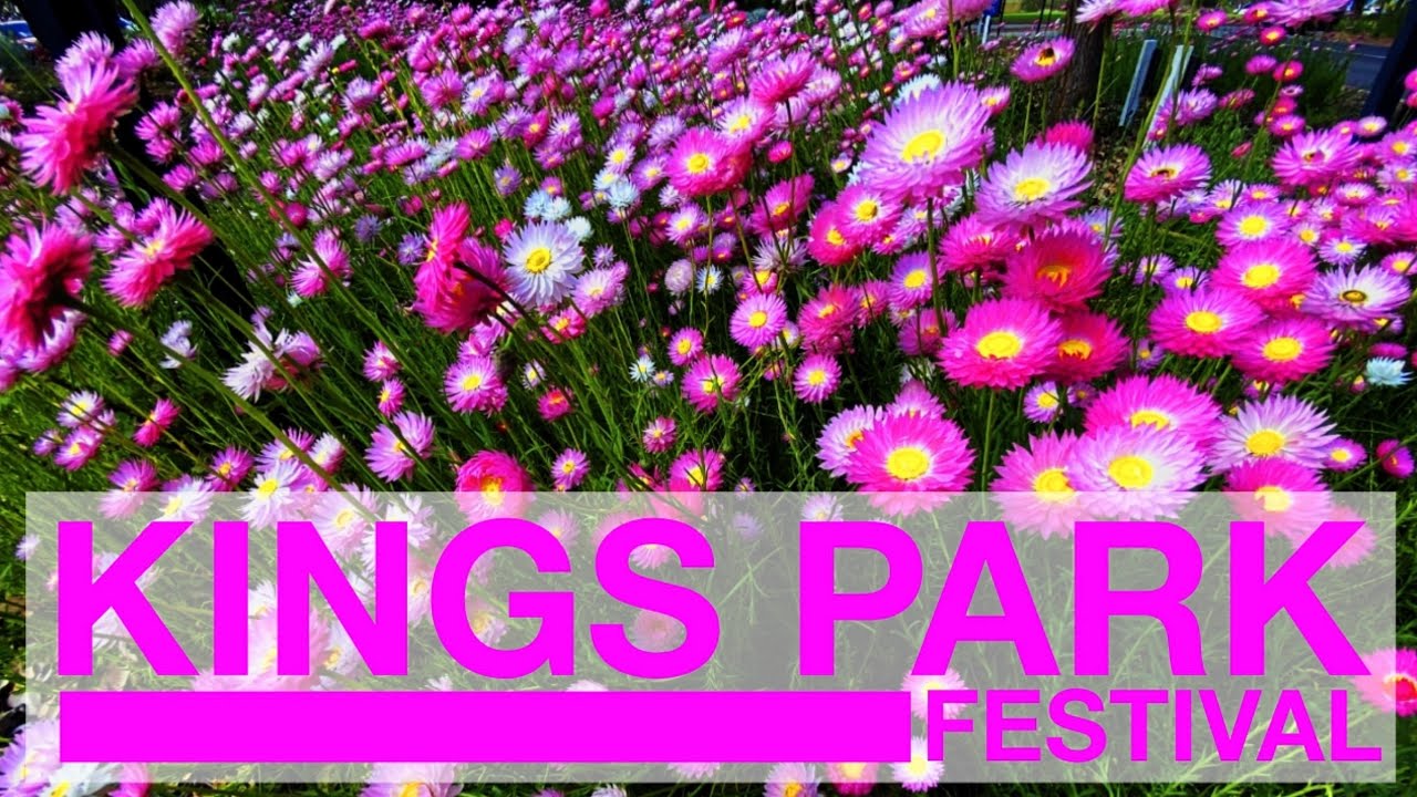 KINGS PARK FESTIVAL YouTube