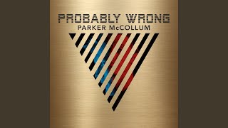 Video thumbnail of "Parker McCollum - Learn to Fly"