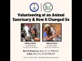 Volunteering at an animal sanctuary  how it changed us full event