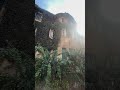 وردة الجزائرية بنلف نلف  اكسبلور الزمالك