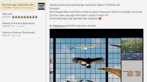 Stop Posting Age Restricted Videos!