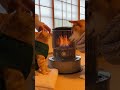 The CUTEST Moment Cat and Dog Snuggle by Stove