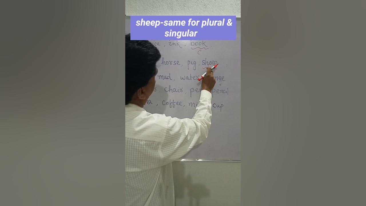 Nouns pick out the odd noun shortsvideo competitiveexams bseo class