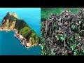 STAY AWAY From This Island!