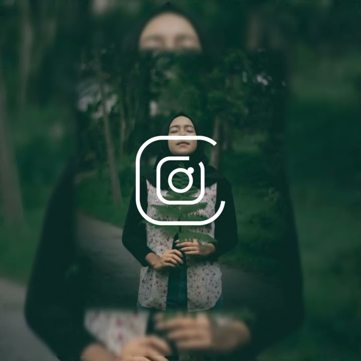 Story WA TE MOLLA Terbaru Yang Lagi Viral 2020