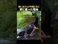 飼い主さんが子猫たちに前に座った理由