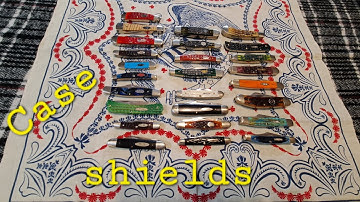 CASE SHIELDS 🛡 deep dive