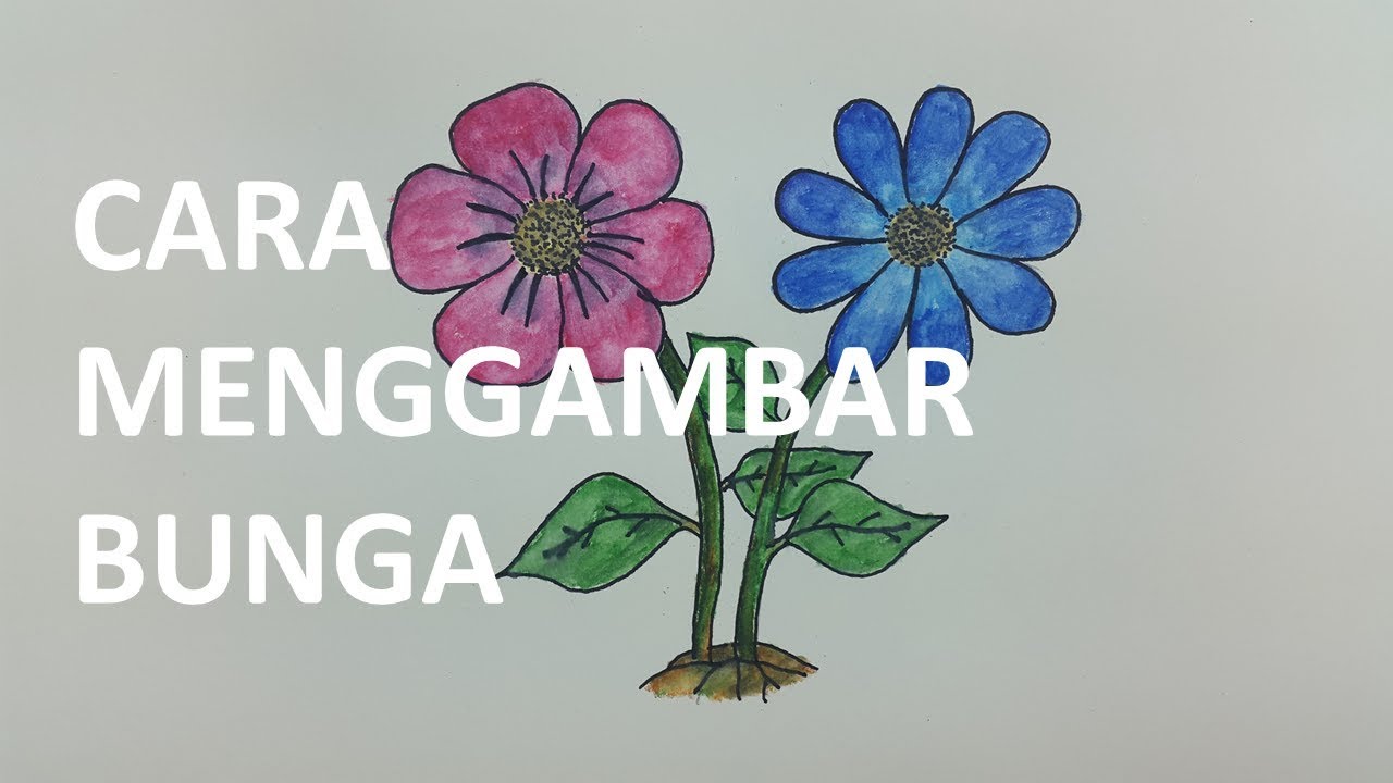 Belajar cara  menggambar  dan mewarnai BUNGA  dengan  mudah 