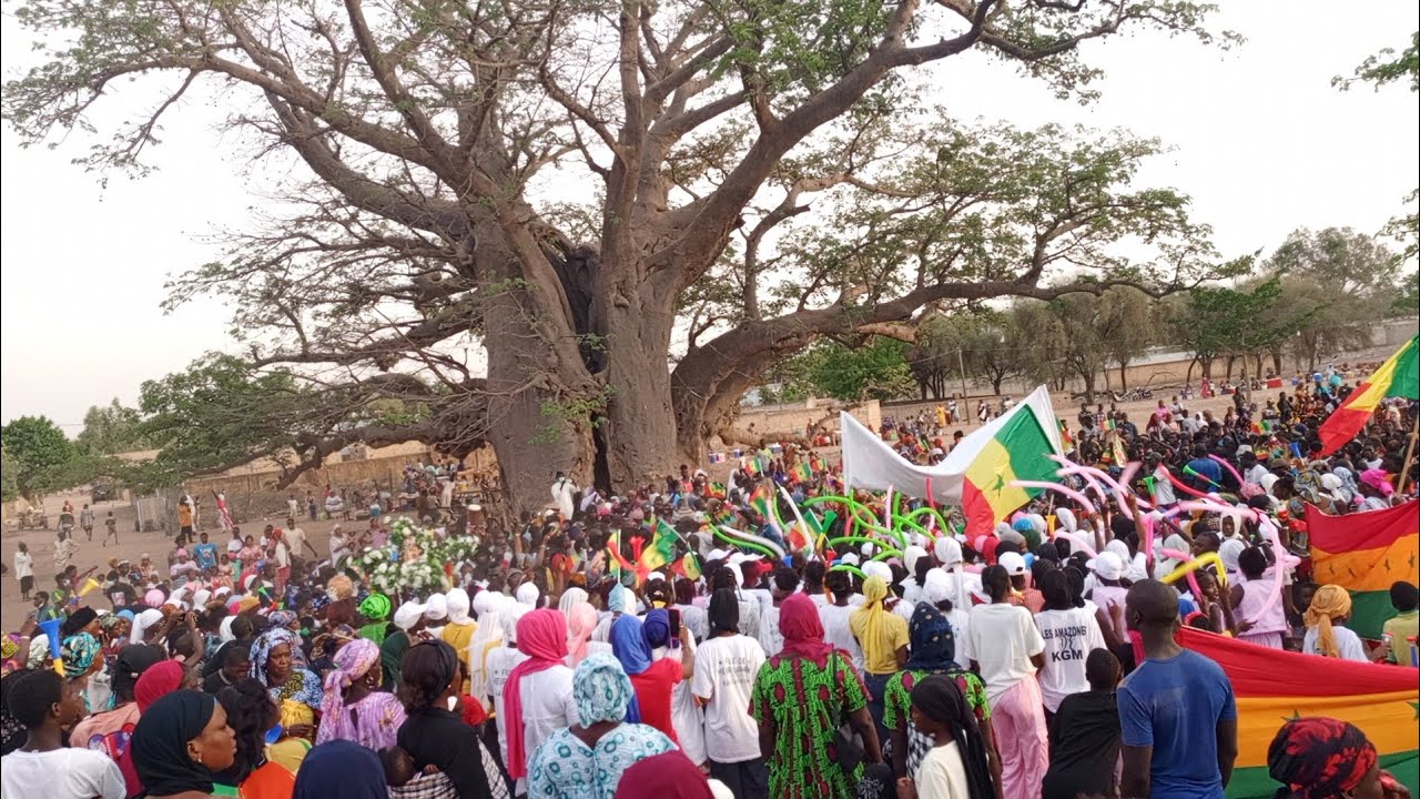 🛑EN DIRECT - FIL TOUBA TOUL 2024 2ÉME JOURS