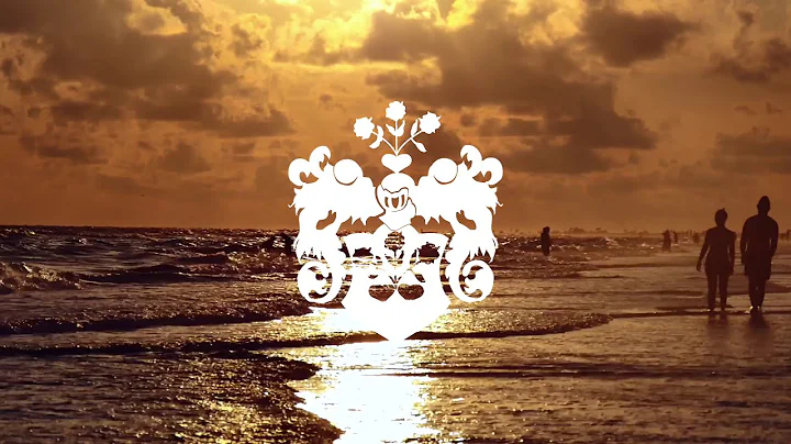Discover Sarasota with Elizabeth Pitts  Broker Own...