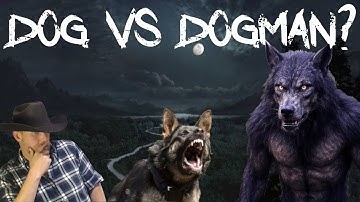 Familievakantie verandert in nachtmerrie wanneer zoon en hond worden aangevallen door Dogman