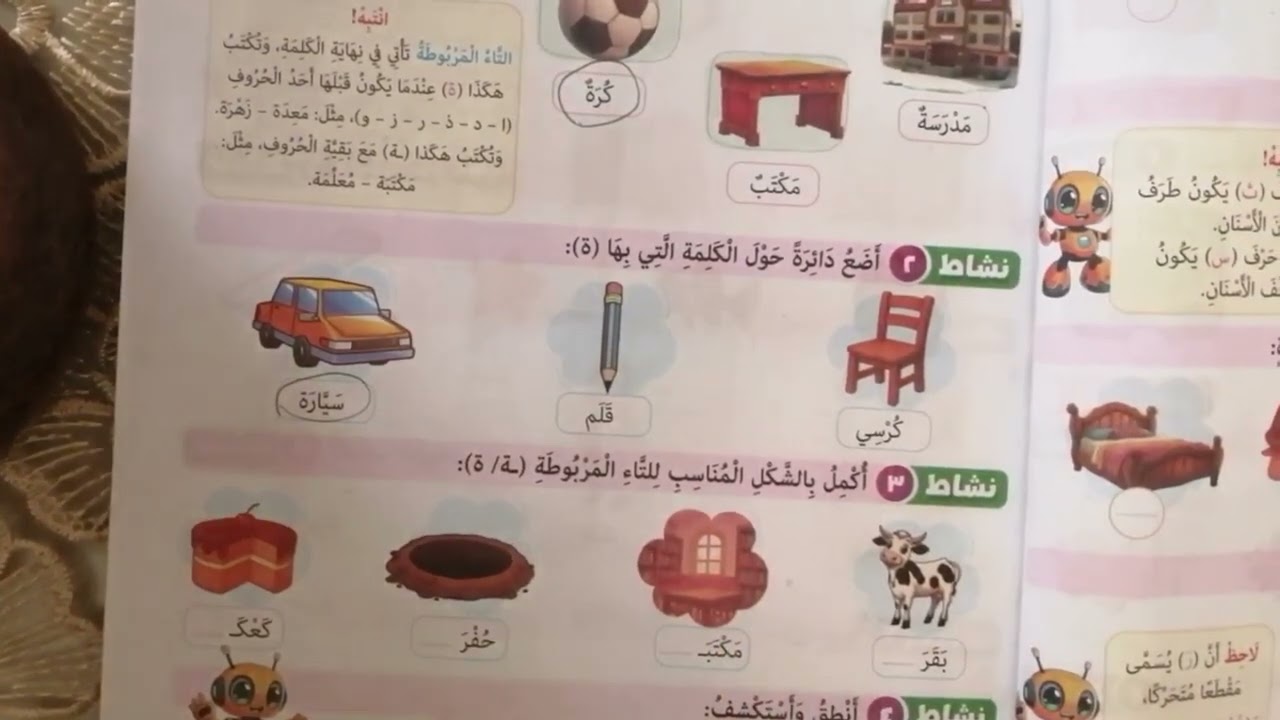 التاءُ المربوطةُ