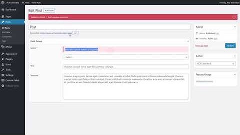 ACF Extended: Custom Required Message