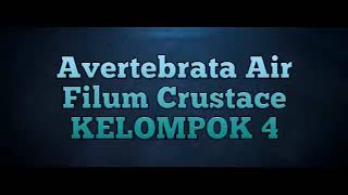Avertebrata Air (Filum Crustacea) #6