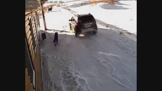 УБИЙСТВО СОБАКИ НА СЛУЖБЕ!!! УБИЙСТВО СОБАКИ НА СЛУЖБЕ!!!
