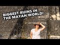 Exploring TIKAL, The Most Impressive Mayan Ruins In Guatemala