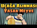 Çin'deki İlginç Meyveler 【Çin Yemekleri】