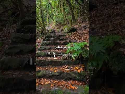 بعدك على بالي يا قمر الحلوين يازهرة تشرين