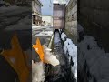 流雪を集めて早し最上川
