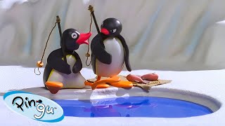 Pingu's Big Catch 🐧 | Pingu - Official Channel | Cartoons For Kids