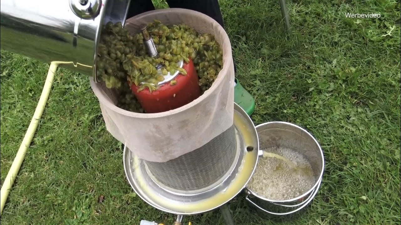 Wein Aus Eigenen Weintrauben Herstellen Maische Ansetzen Trauben My XXX Hot Girl Wein Aus Eigenen Weintrauben Herstellen Maische Ansetzen Trauben My XXX Hot Girl