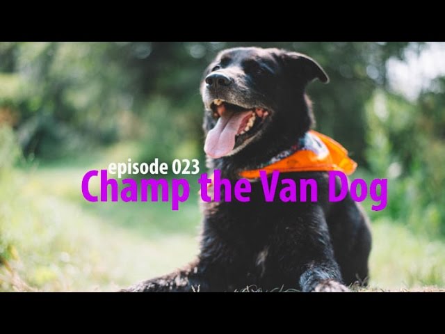 Champ Loves the Van – Van Life 023