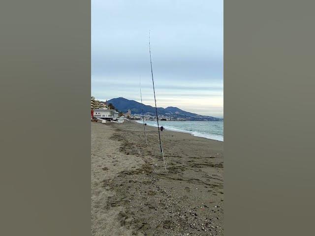 jornada surfcasting en Fuengirola