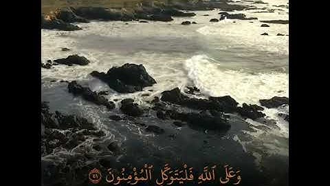"قل لن يصيبنا إلا ما كتب الله لنا"🥺❤️ تلاوة هادئة من سورة التوبة |رعد الكردى|🎙️🎧
