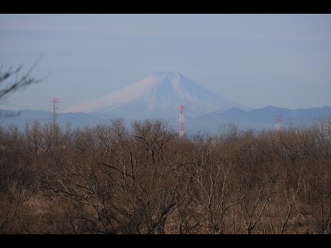 2 11 北本自然観察公園 池と森をめぐるロングコース Youtube 2 11 北本自然観察公園 池と森をめぐるロングコース Youtube