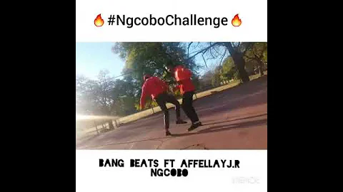 Ngcobo challenge