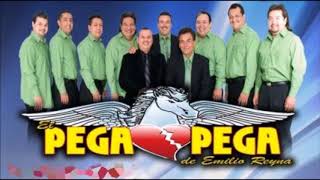 Video thumbnail of "Me Gastas Las Palabras  El Pega Pega"