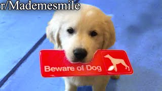 r/Mademesmile | CUTE VIDEO FT. SCARY DOG