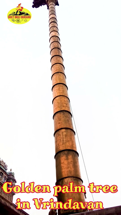 Golden palm tree in Vrindavan | বৃন্দাবনে সোনার তাল গাছ | Rangnathji temple #shorts