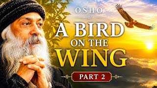 A Bird on the Wing | Osho on Freedom, Awareness & Inner Flight | Part 2