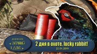 Астраханская охота 2019 счастливый зайчик мужская кулинария