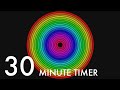 30 minute radial timer