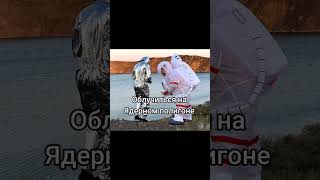 Счастье - Это... #Креосан #Сус #Камрад #Припять