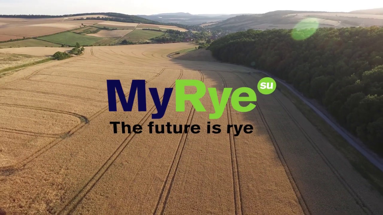 Saaten-Union: MyRye – The future is rye | Trailer