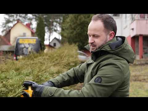 Video: Petrovsky Daržovių Sodas Strelnoje