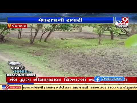 Panchmahal : Farmers rejoice as Ghoghamba received 2 inches rainfall | TV9News