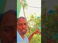 Chote se jeevan hamar ✝️ New jesus # nagpuri song ✝️🙏
