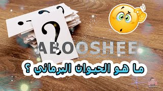 العباس قصة وفاء/نهراً بلا ماء/ارترى بالحب فيضاً....!