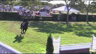 Video Of Cashmire Ridden By Stacey Werner From Shownet