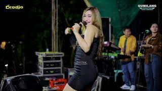 D'RADJA PASTI AJA - BOLEH SAJA - EVIS RENATA - WEDDING ALFIAN & NELI - BUMIHARJO KELING JEPARA