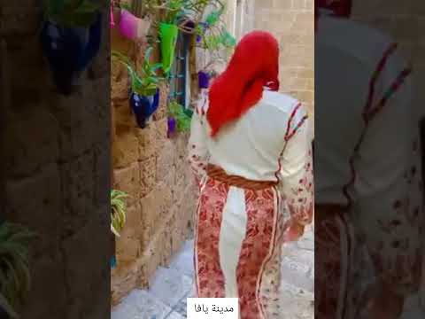 بيوت يافا القديمة فلسطين القدس يافا طبريا حيفا تل ابيب حي العجمي ميناء يافا